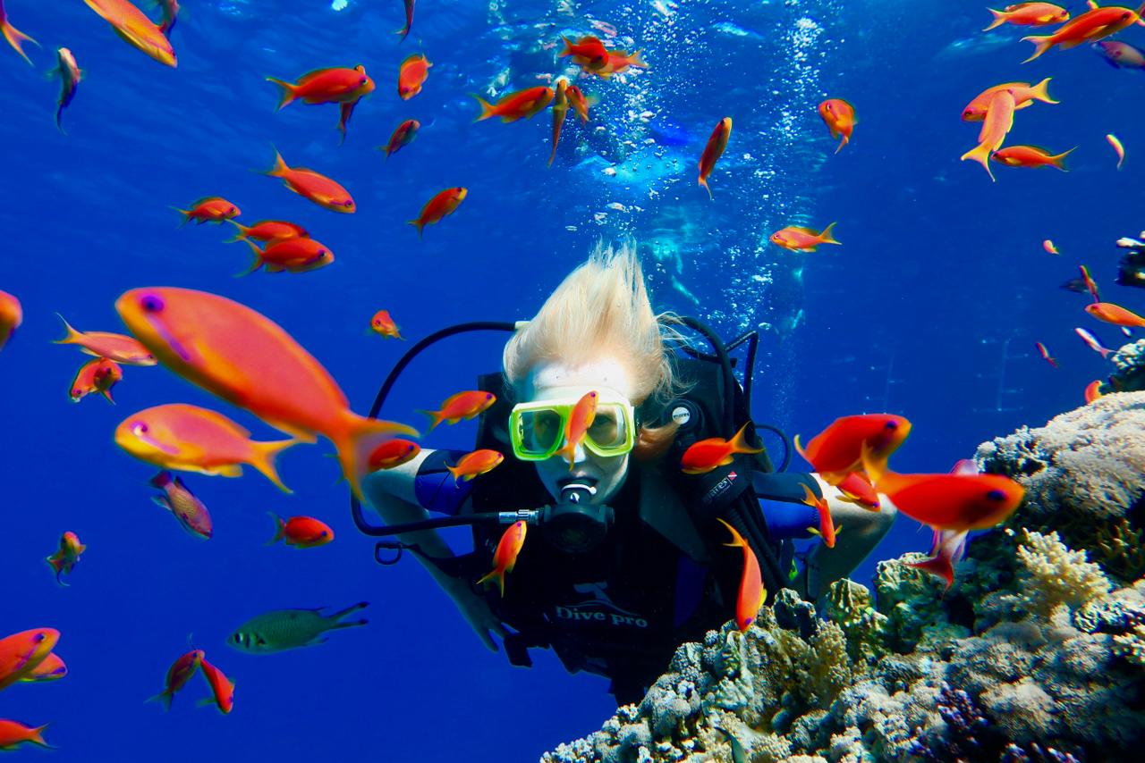 Scuba diving in the Red Sea with colorful coral reefs in Sharm El Sheikh