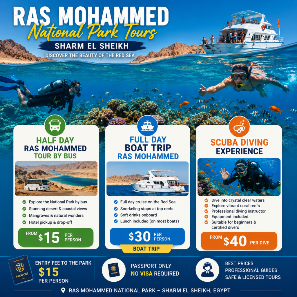Scuba diving excursion in the Red Sea near Sharm El Sheikh with clear blue water and coral reef
