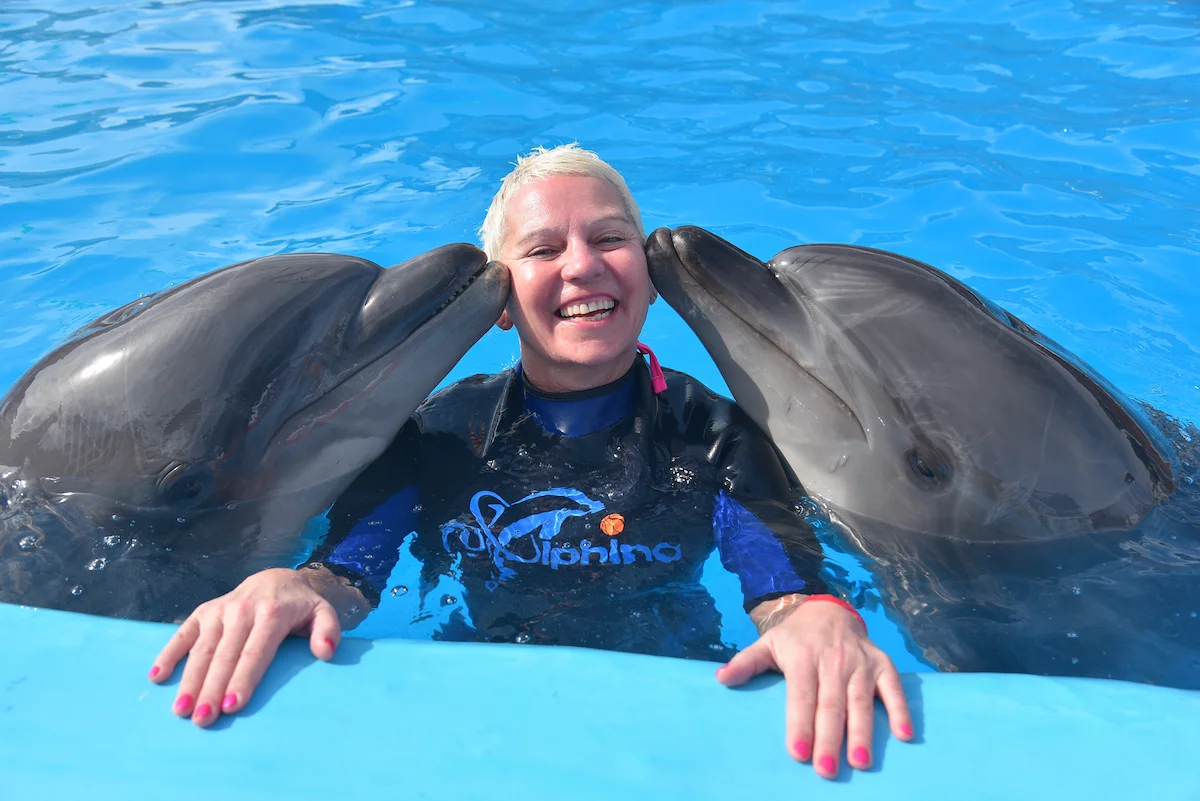 Swim with dolphins activity in Sharm El Sheikh Red Sea Egypt